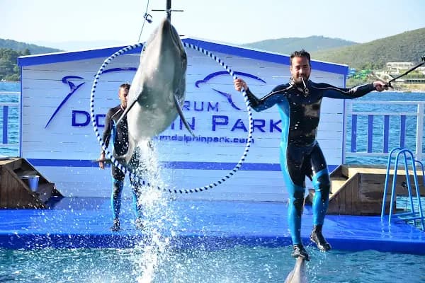 Bodrum Dolphin Park - Yunus Gösteri Merkezi - Turistik Yer - Muğla Bodrum