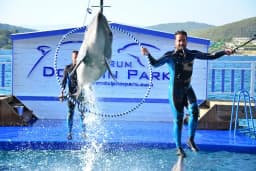 Bodrum Dolphin Park - Yunus Gösteri Merkezi