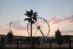 BlueLand