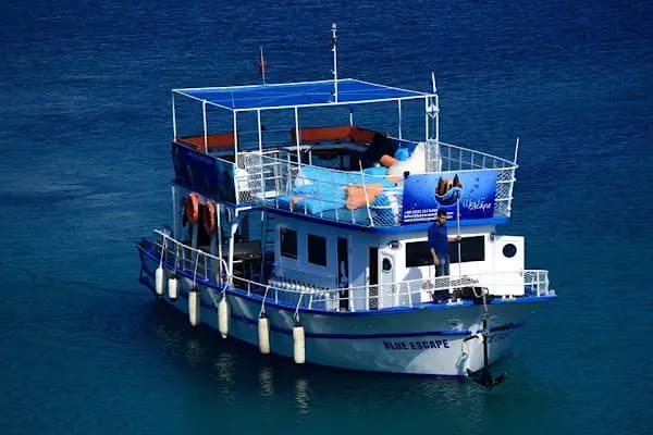 Blue Escape Dalış Merkezi / Atamer Group - Dalış Merkezi - Muğla Bodrum