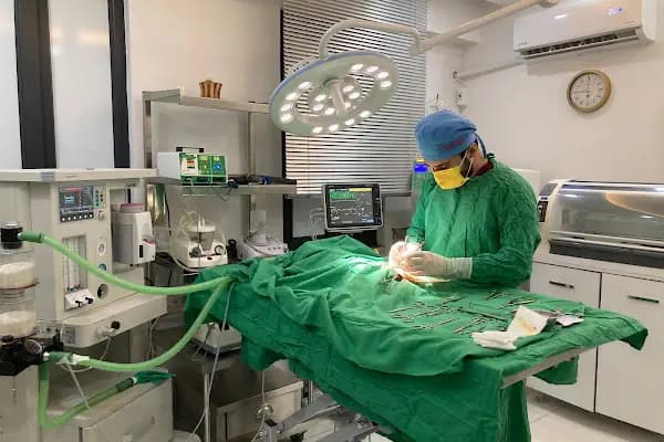 Ateş Veteriner Kliniği - Veteriner - Şanlıurfa Ceylanpınar