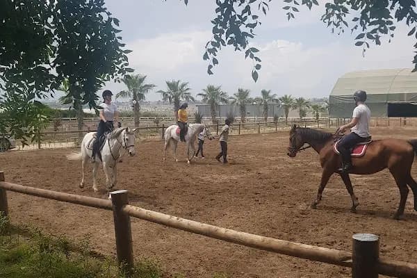 ABAK Antalya Binicilik ve Atlı Spor Kulübü - Binicilik Kulübü - Antalya Alanya