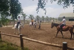 ABAK Antalya Binicilik ve Atlı Spor Kulübü