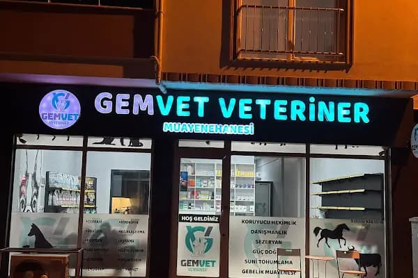 GEMVET VETERİNER - Veteriner - Bursa Osmangazi