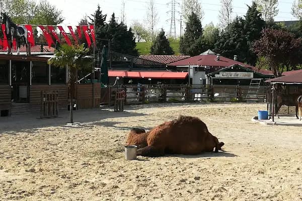 Park Ada - Şehir Parkı - İstanbul Bağcılar