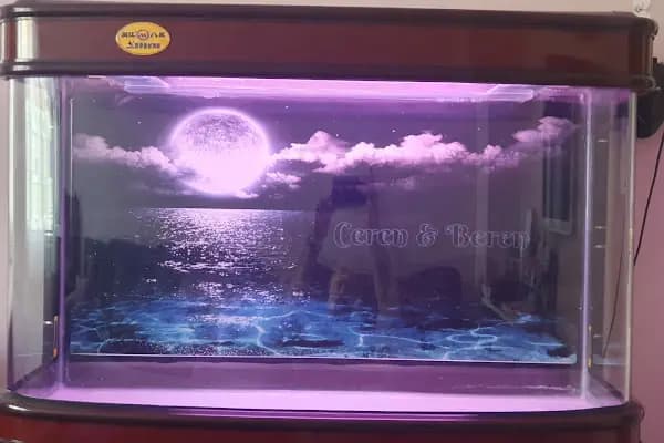 Mekân Malawi Petshop &amp; Akvaryum - Akvaryum Mağazası - Konya Seydişehir