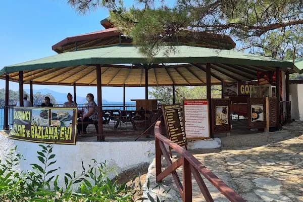Katrancı Orman Kampı - Kamp Alanı - Muğla Fethiye