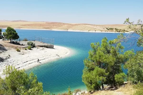 Reis'in Yeri Yüzme Havuzu &amp; Piknik Alanı - Piknik Alanı - Şanlıurfa Ceylanpınar