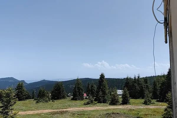 Hackali baba hastanesi - Alternatif Tıp Doktoru - Trabzon Akçaabat