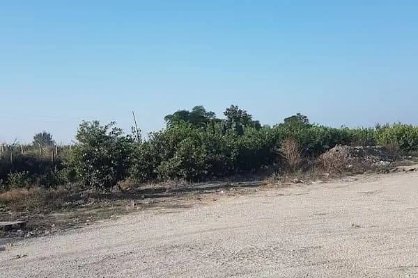 Polen Tarımsal Mücadele - Tarımsal Ekipman Tedarikçisi - Mersin Yenişehir