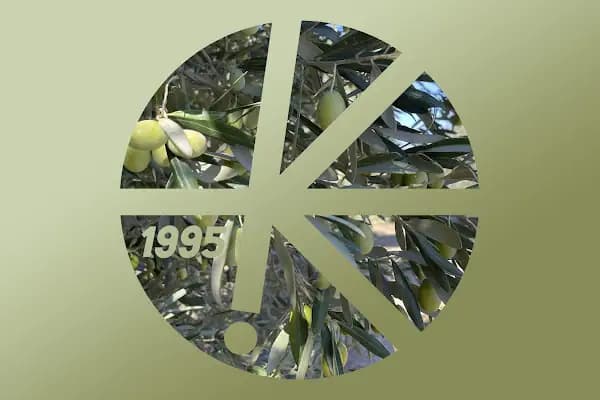 Kozaklı - Zeytinyağı Üreticisi - Balıkesir Altıeylül