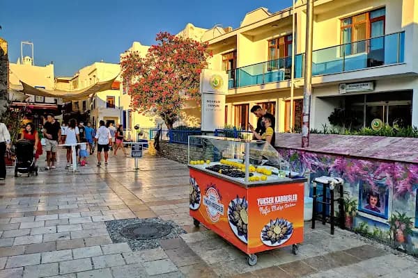 Orman İşletme Şefliği - Resmi Kurum - Muğla Bodrum