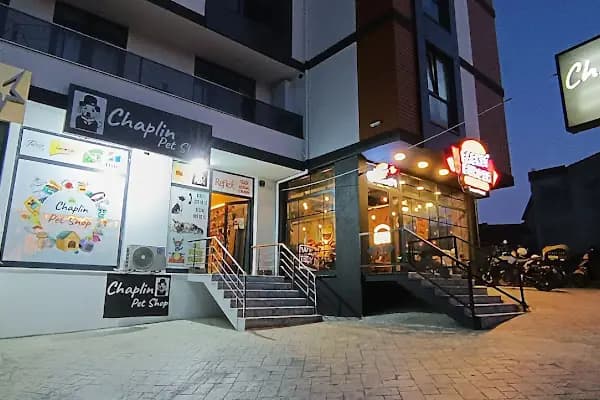Chaplin Pet Shop - Evcil hayvan mağazası - Kocaeli İzmit