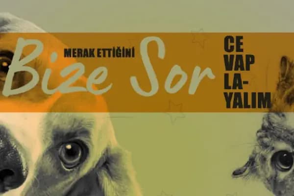 Atlas Veteriner Kliniği - Veteriner - Konya Selçuklu