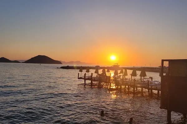 Houmous Event - Gıda Üreticisi - Muğla Bodrum