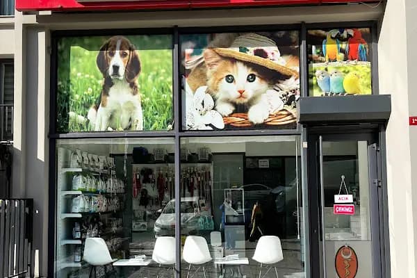 ZEYTİNBURNU LOCA VETERİNER KLİNİĞİ - Veteriner - İstanbul Zeytinburnu