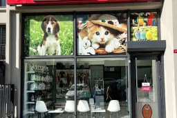 ZEYTİNBURNU LOCA VETERİNER KLİNİĞİ