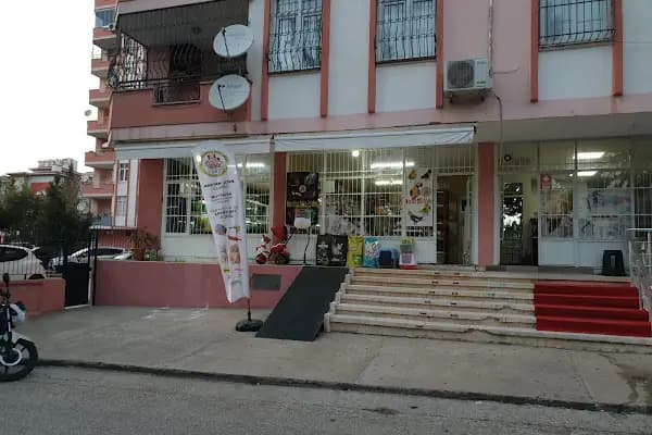 Moon Star Betta Petshop ( MSB PETSHOP ) - Evcil Hayvan Malzemeleri Mağazası - Adana Seyhan