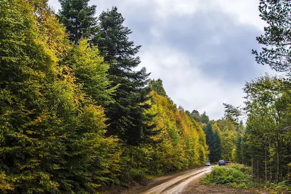 Sapanca Soğucak Yaylası - Turistik Yer - Sakarya Arifiye