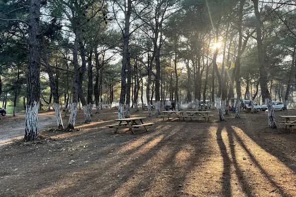 Yakaköy Mesire ve Piknik Alanı - Piknik Alanı - İzmir Bornova