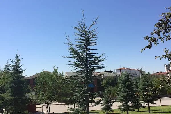 Millî Egemenlik Parkı - Park - Ankara Etimesgut