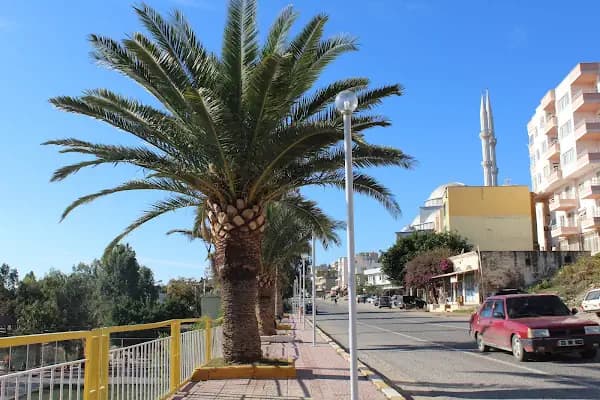 Aydıncık(Mersin) Belediyesi - Belediye Binası - Mersin Anamur