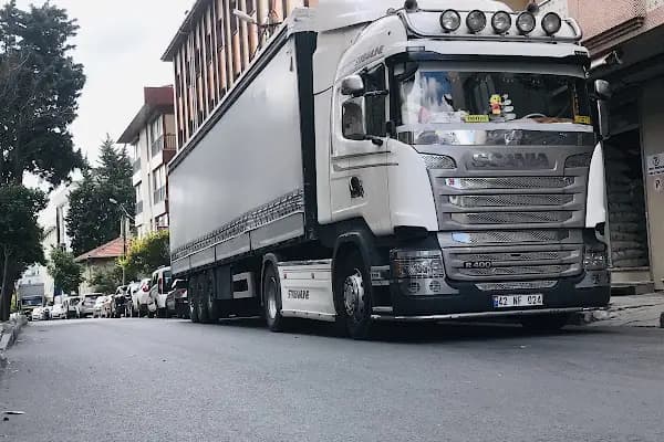 İstanbul - Bağcılar Özel Neşeli Minikler Anaokulu - Anaokulu - İstanbul Bağcılar
