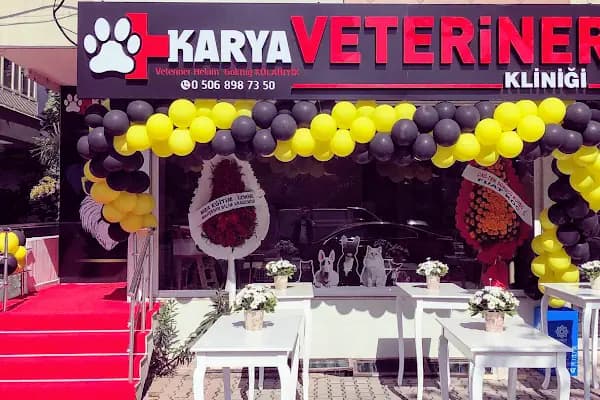 Karya Veteriner Kliniği - Veteriner - Balıkesir Karesi