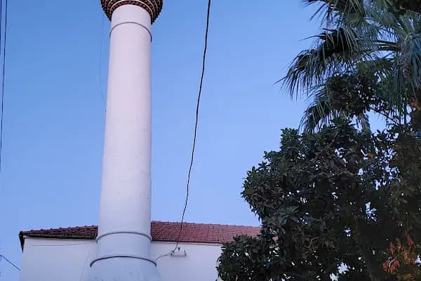 Ağaçlı Köyü Cami - Cami - Muğla Bodrum