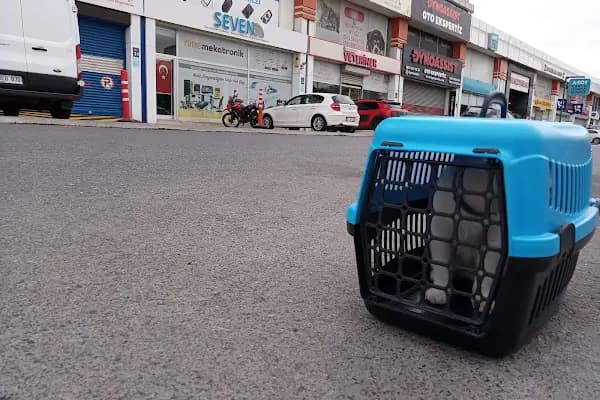 Başakşehir Veteriner Kliniği - Veteriner - İstanbul Başakşehir
