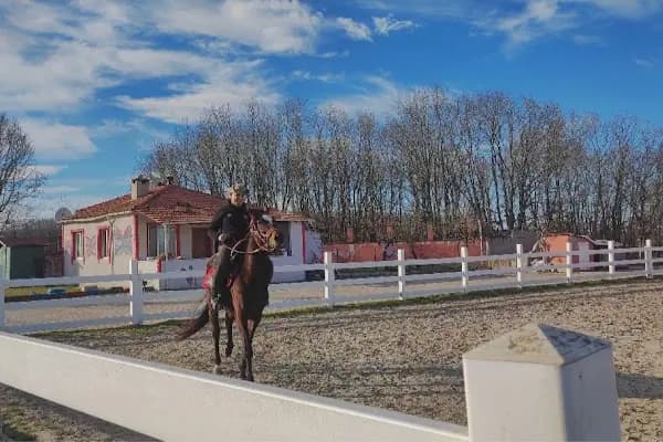 Hanımın çiftliği - At Binme Hizmeti - Tekirdağ Kapaklı
