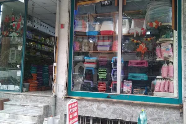 Özgür Akvaryum Kuş &amp; Balik Galerisi - Evcil Hayvan Malzemeleri Mağazası - İstanbul Bağcılar