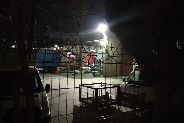 Aras Kargo - Belkıs Şubesi - Kargo Şirketi - Gaziantep Şehitkamil