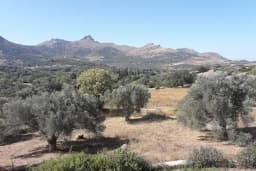 Akçaalan Mahallesi