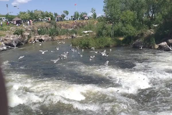 Kampüs Sürücü Kursu - Sürücü Eğitim Kursu - Van Edremit