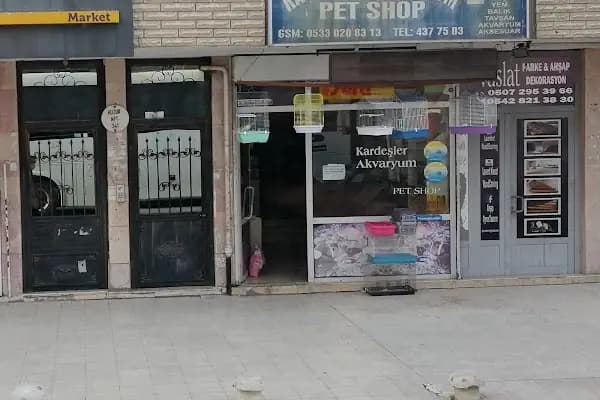 Kardeşler Akvaryum Pet Shop - Evcil hayvan mağazası - Ankara Altındağ