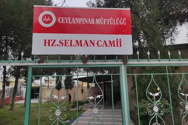 Hazreti Selman Cami - Cami - Şanlıurfa Ceylanpınar