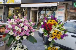Liore mum &amp; çiçekçilik