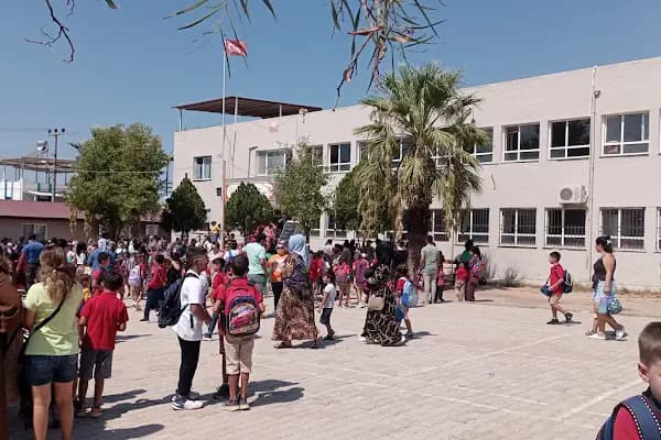 Mumcular Sitare Özkan Çok Programlı Anadolu Lisesi - Okul - Muğla Bodrum