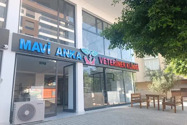 Finike Mavi Anka Veteriner Kliniği - Veteriner - Antalya Finike