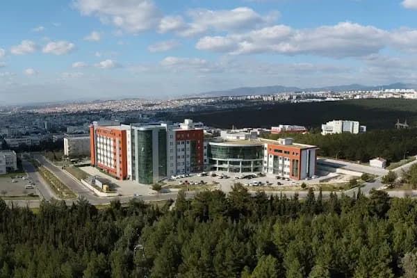 Dokuz Eylül Üniversitesi Güzel Sanatlar Enstitüsü - Üniversite - İzmir Karabağlar
