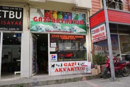 Mga Pet &amp; Akvaryum