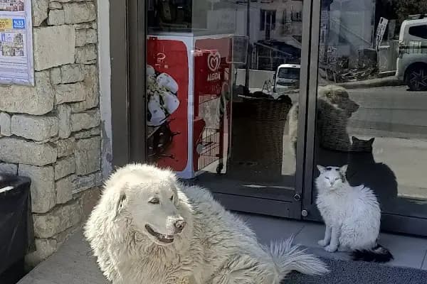 Şok Market - Süpermarket - Muğla Dalaman