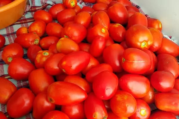 Merve Market - Bakkal - Adana Çukurova