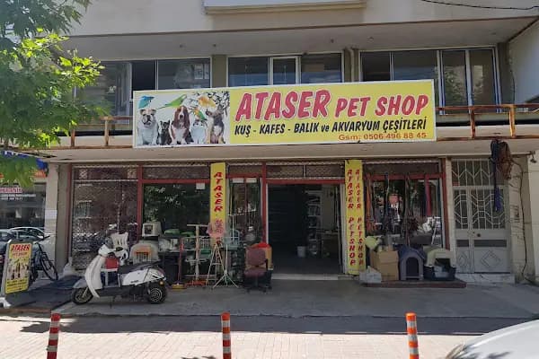 Kerem Akvaryum &amp; Petshop - Evcil hayvan mağazası - İzmir Çeşme