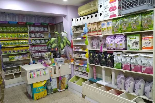 Kerem Akvaryum Petshop Kus Balik Galerisi - Evcil hayvan mağazası - İstanbul Esenyurt
