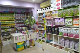Kerem Akvaryum Petshop Kus Balik Galerisi