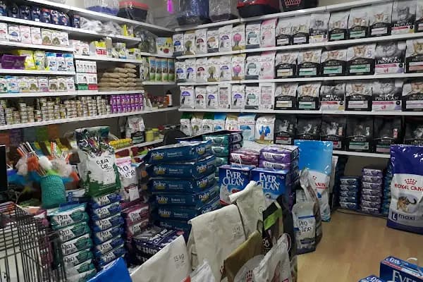ATA PETSHOP - Evcil Hayvan Kuaförü - İstanbul Avcılar