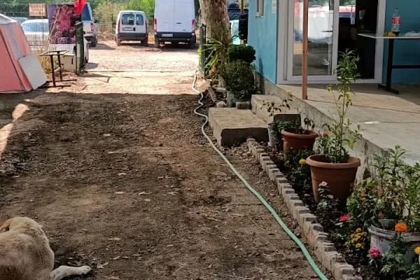 Çınar Camping - Kamp Alanı - İzmir Buca