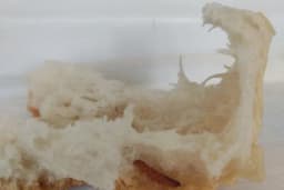 Meyydan Pasta & Fırın